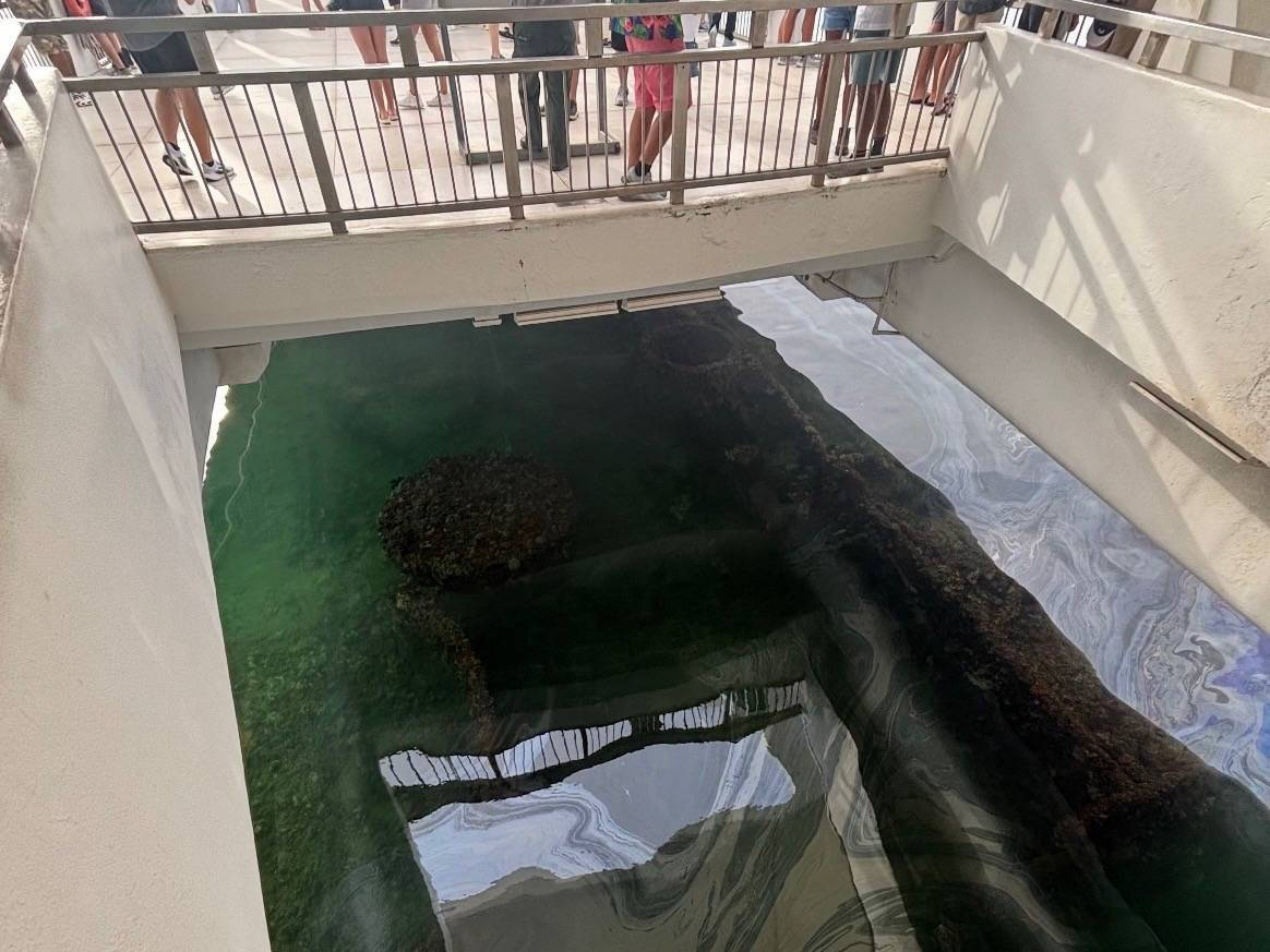 Photo of Sunken Ship